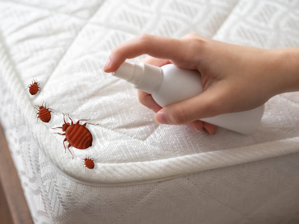 Reliable Harwich Center, MA Pest Control Solutions