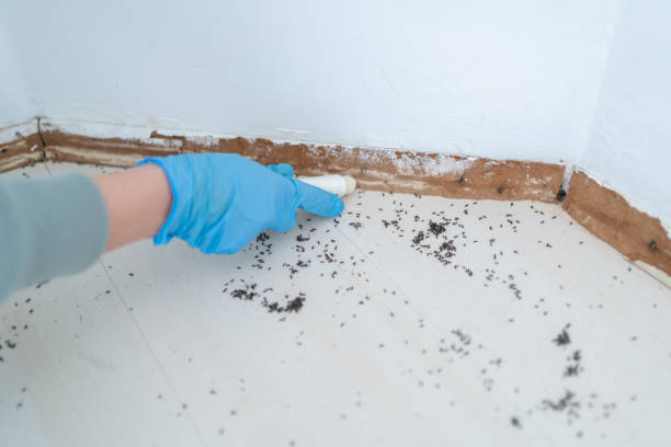 Best Wildlife Control Services  in Harwich Center, MA